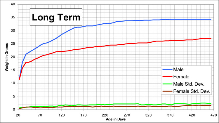 Long term growth chart for BALB/c