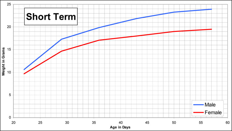 short term growth char for C57BL/6