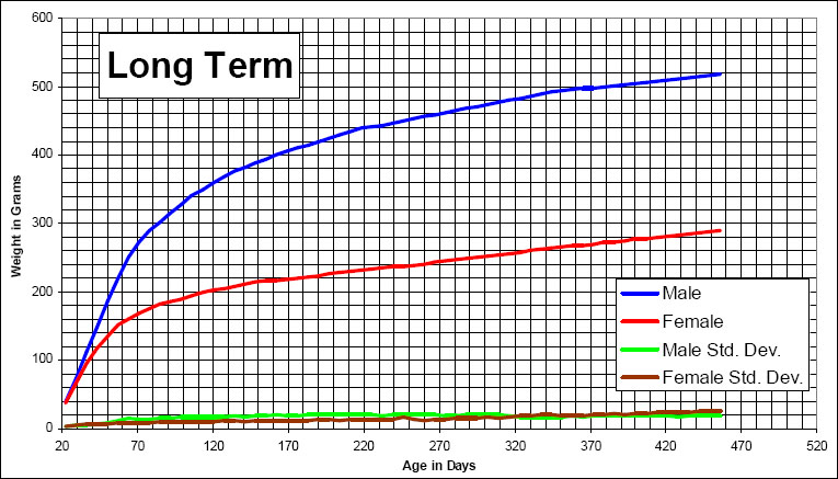 Long term growth chart for Fischer 344
