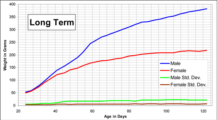 Guinea Pig Growth Chart