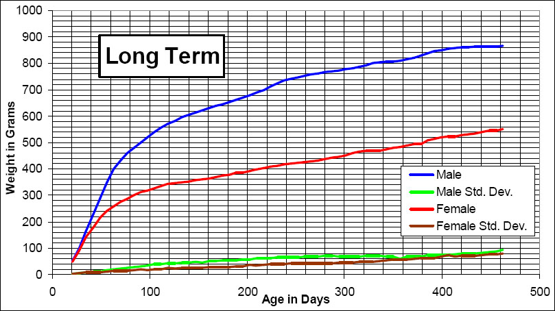 Long term growth chart for the Wistar Rat