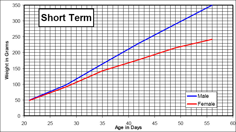 Short term growth chart for the Wistar Rat